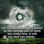 rumi the pull of what you really love