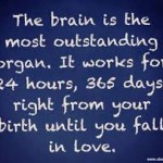 the brain works until you fall in love